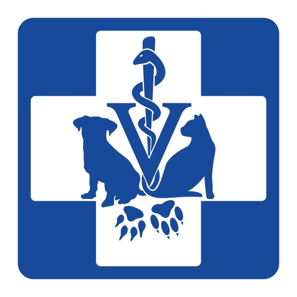 Primary Raster logo